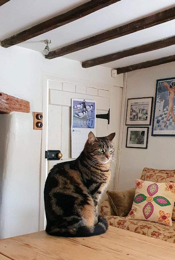 Tracebridge Cottage B&B Stawley Экстерьер фото