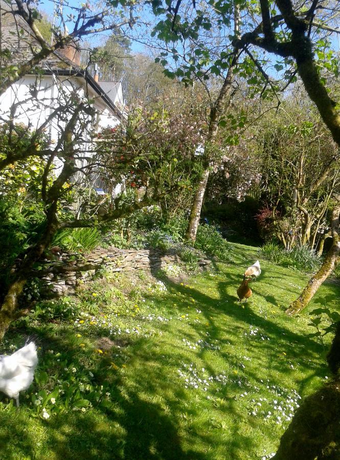 Tracebridge Cottage B&B Stawley Экстерьер фото