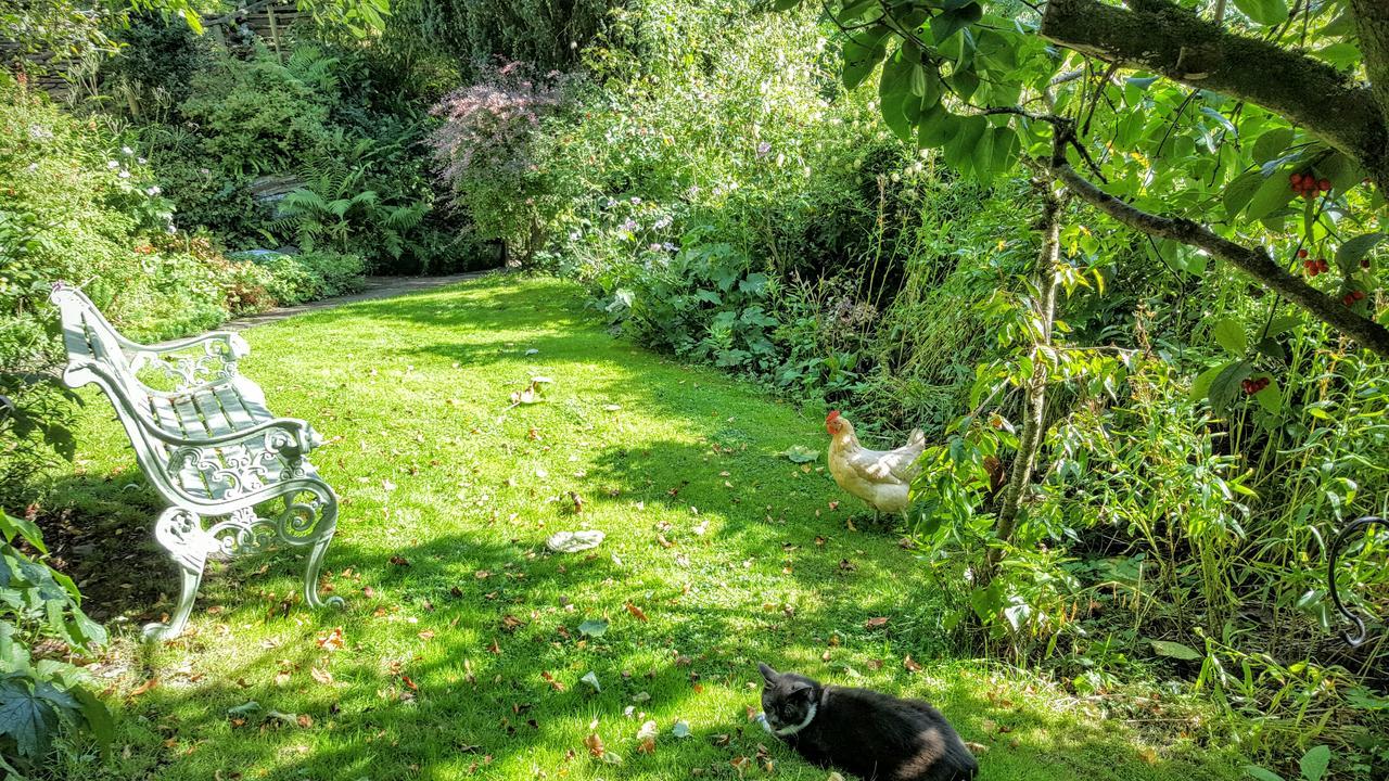 Tracebridge Cottage B&B Stawley Экстерьер фото