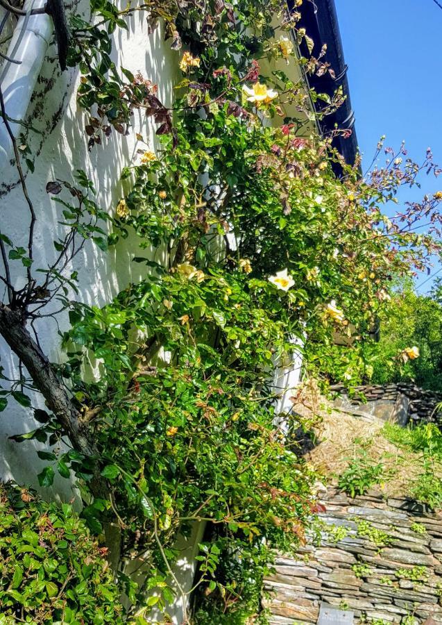 Tracebridge Cottage B&B Stawley Экстерьер фото